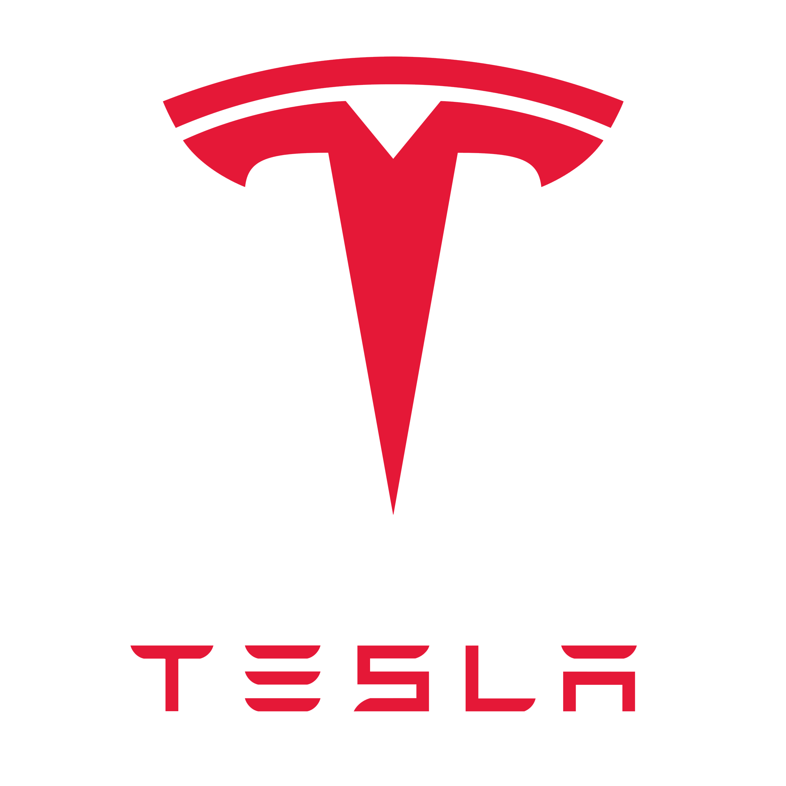 TSLA logo
